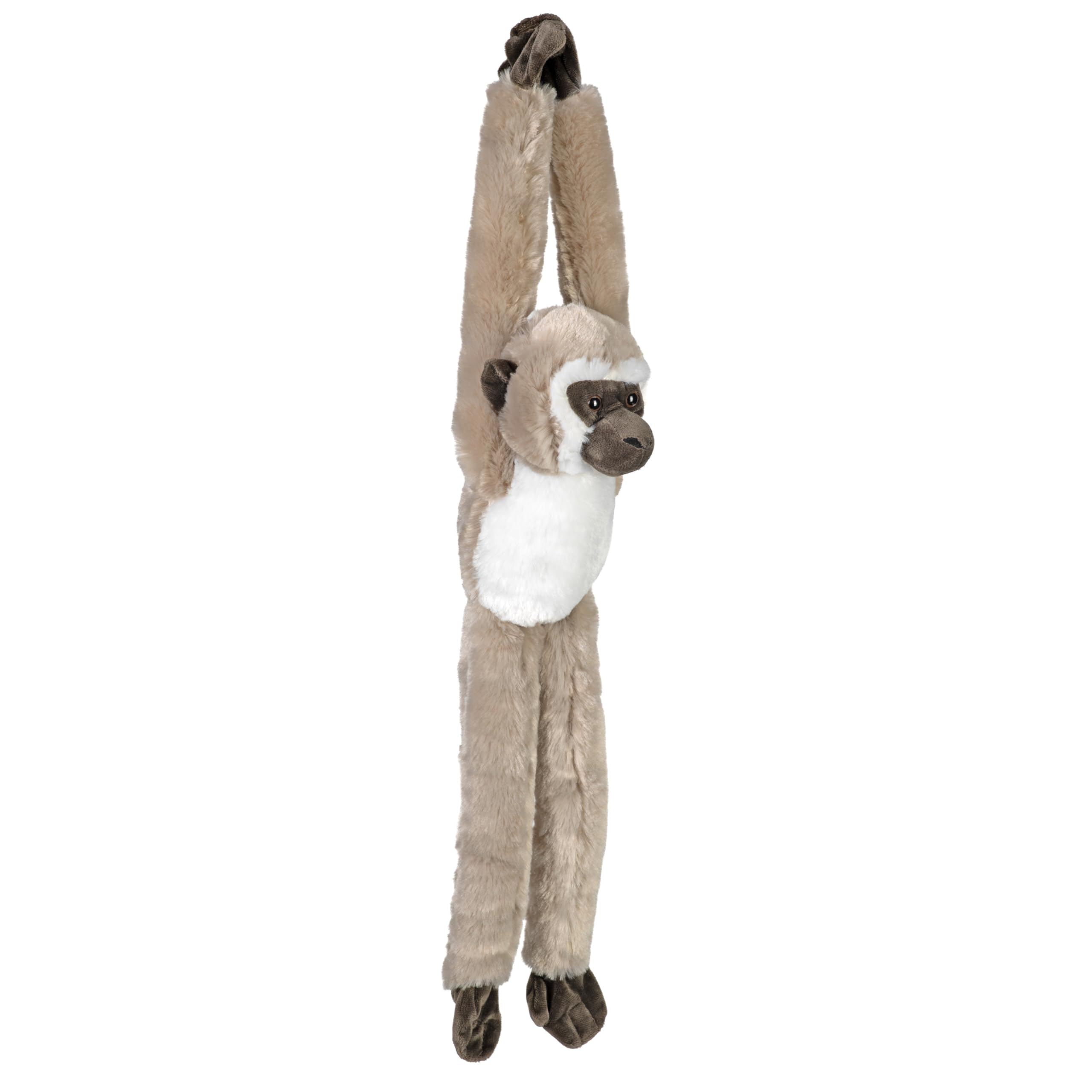 Amazon.com: Wild Republic Vervet Monkey, Stuffed Animal, Plush Toy