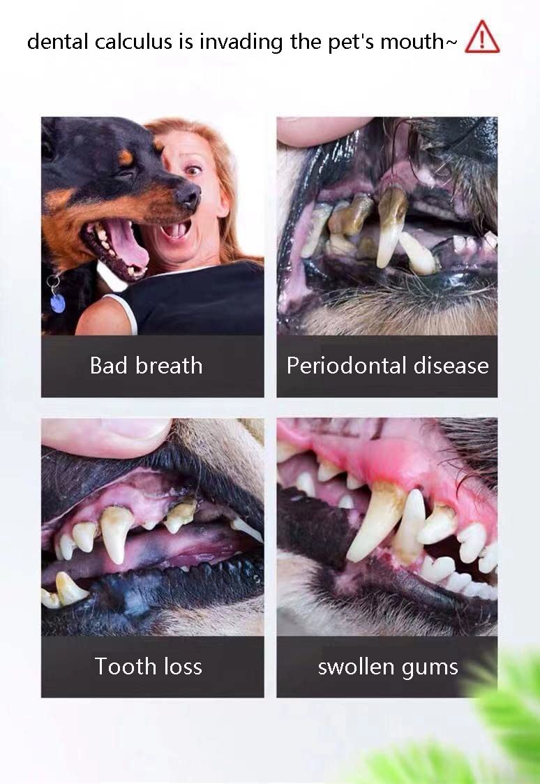 Cepillo De Dientes EléCtrico para Mascotas Limpiador De Sarro Pulidor EléCtrico De Dientes para Mascotas Limpiador De Manchas De Placa Cachorro Cuidado Dental Kit De Limpieza para Perros Gatos