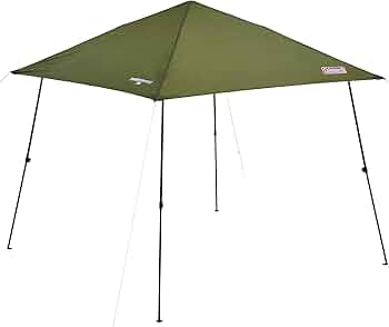 61zGfS2ea8L._AC_UF350,