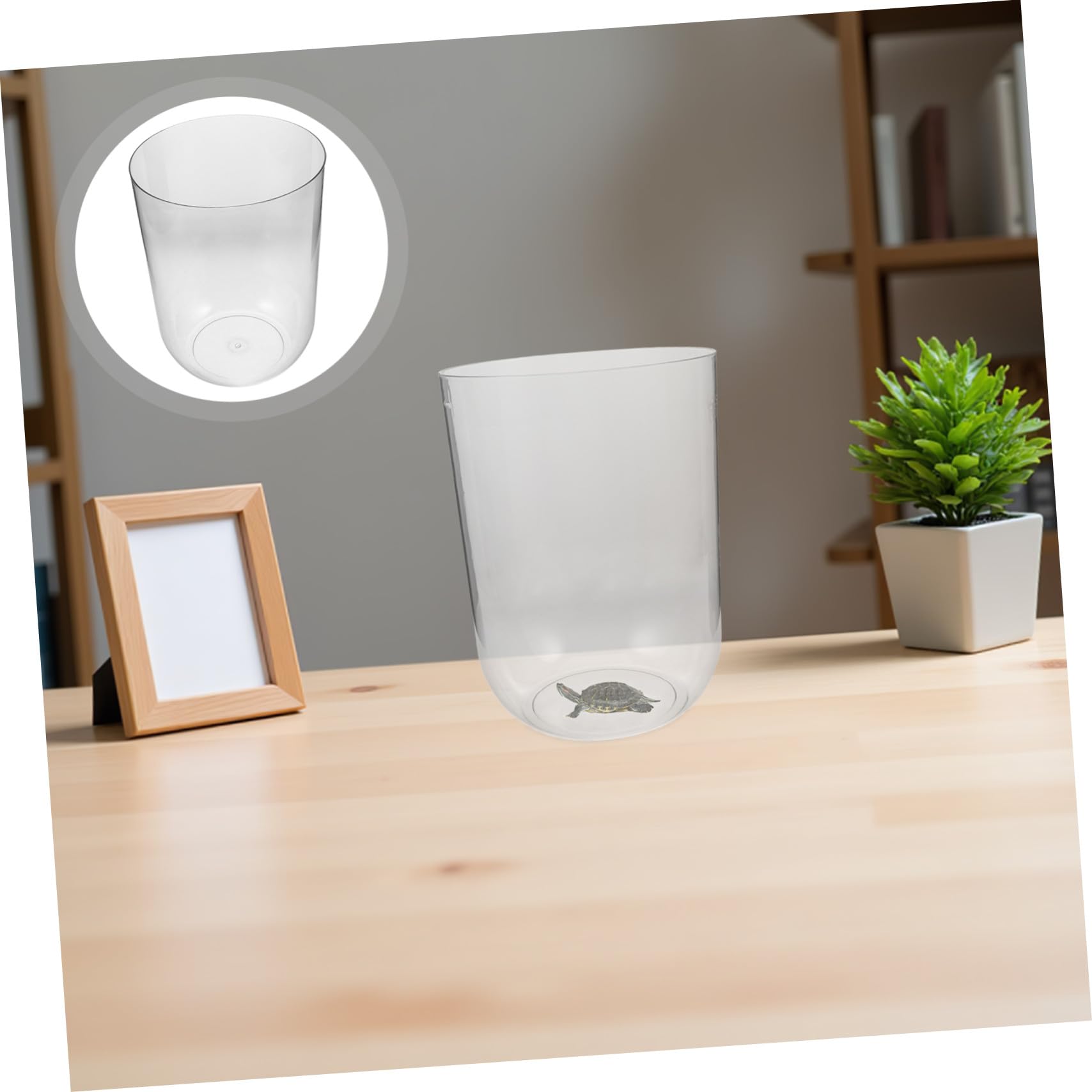 Toddmomy Aquarium Cylindrique Écologique 8l pour Tortues Aquatiques Petit Aquarium de Bureau en Plastique Transparent Design Créatif pour Terrarium Écosystémique Décoratif Adultes Amateurs