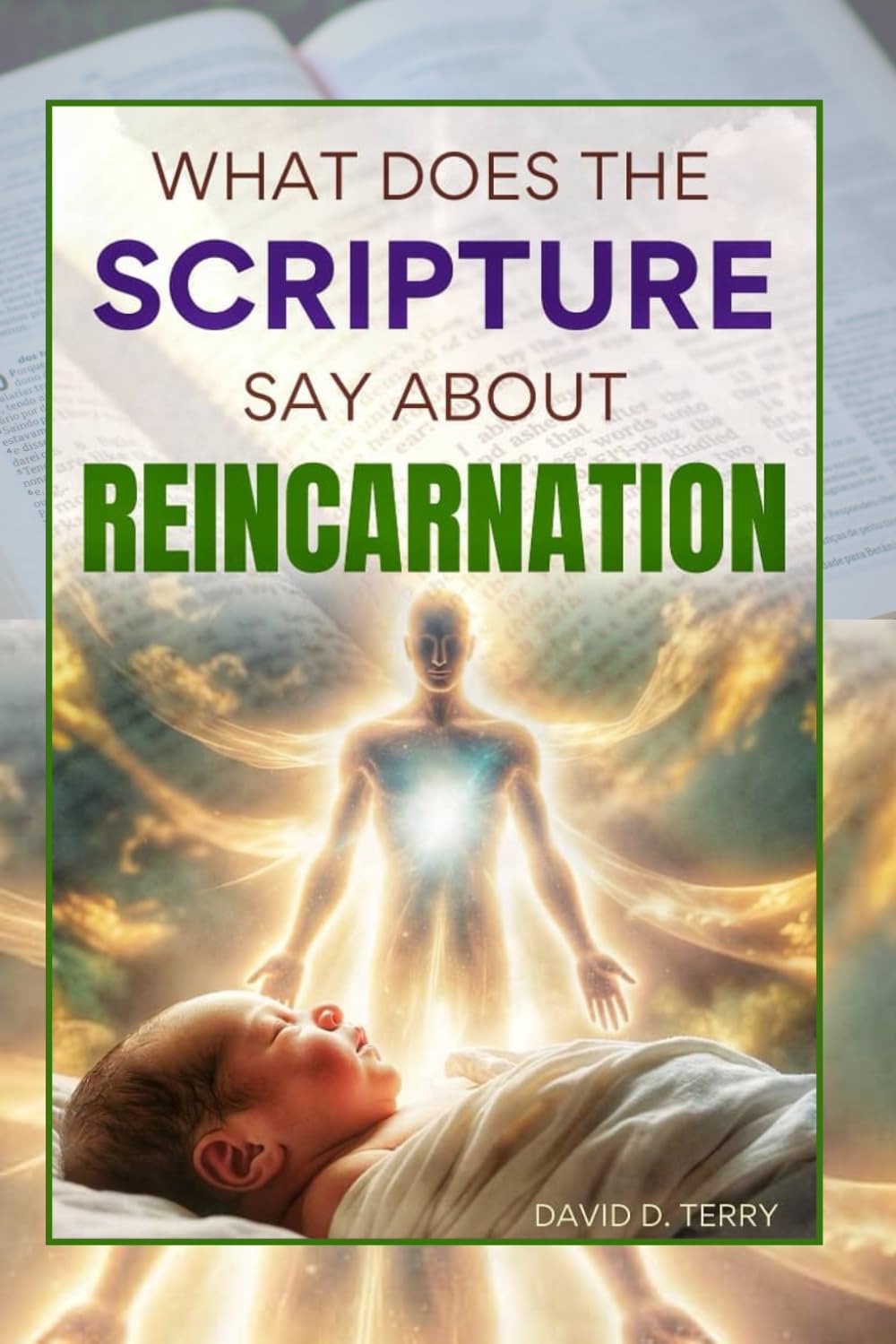 WHAT DOES THE SCRIPTURES SAY ABOUT REINCARNATION? (What the Scriptures Say Series)