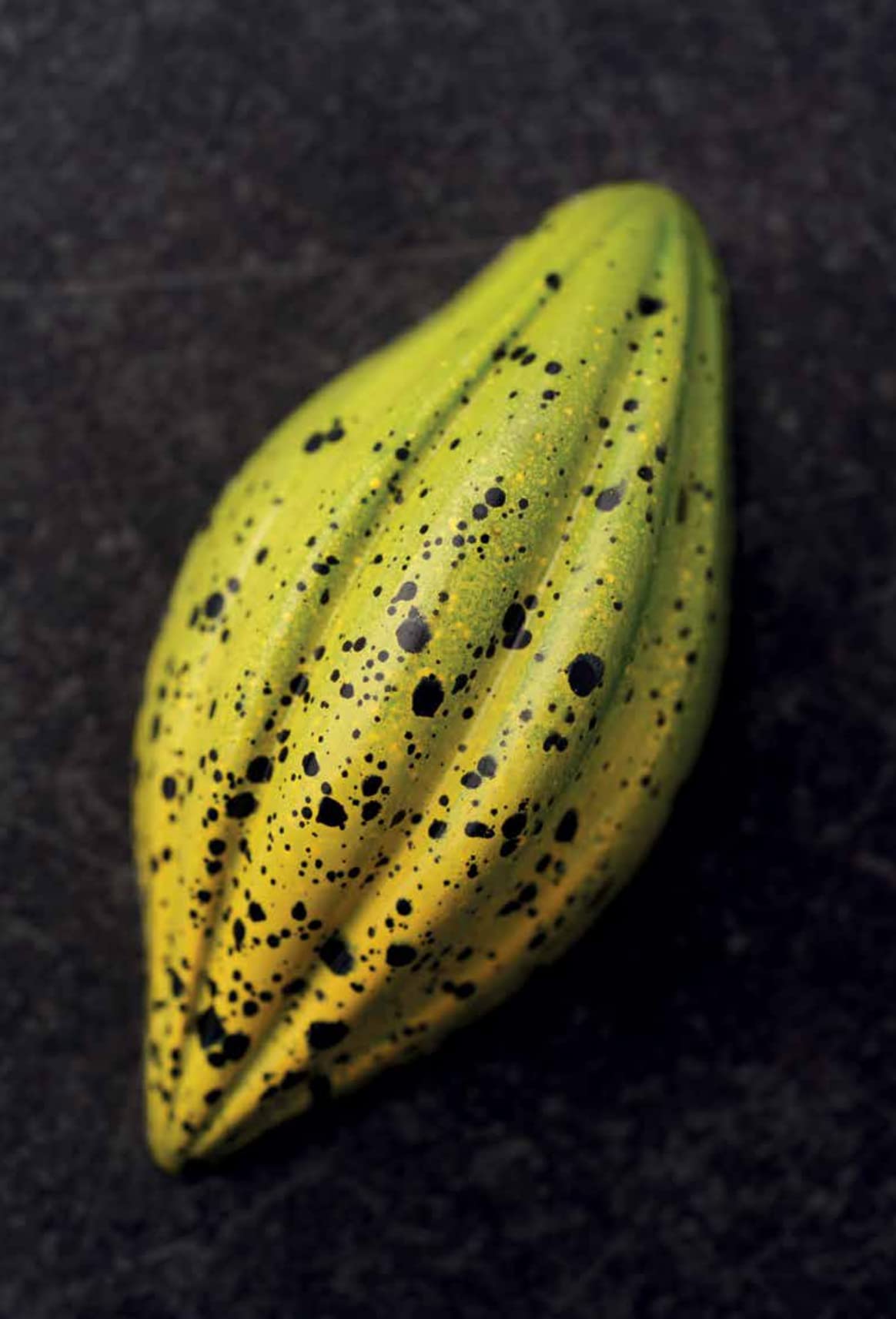 Cioccolateria moderna. Dalla forma al dettaglio