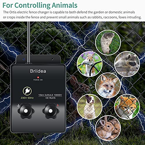 230V Weidezaungerät, Briidea 6.2 Meilen Elektrozaungerät für Hundezaun, Viehzaun, Eichhörnchen, verwendet für Gärten, Hühnerställe, Einfache Installation, 3 Joule