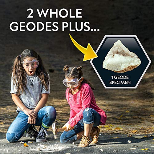 OLOPE Rocks & Fossils Kit, Earth Science Kit, Rock & Mineral Collection Activity Kit, 24 Piece Rocks Collection 2020 Count Down Advent Calendar, Educational Toys for Kids (Multicolor)