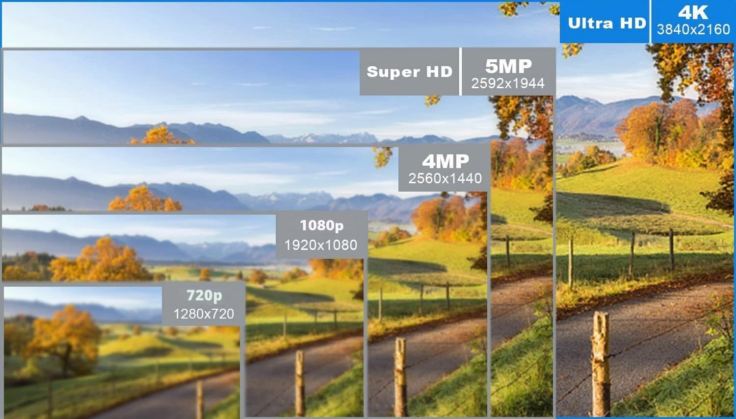 8-CH 4K POE NVR (1080p / 3MP / 4MP / 5MP / 8MP) 48V Videoregistratore di rete compatibile Cloud P2P Controllo remoto Rilevamento del movimento
