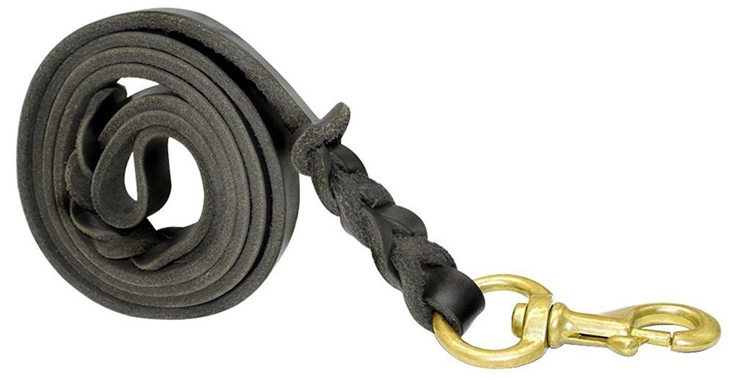 FAIRWIN Leather Dog Leash 6 Foot - Braided Heavy Duty Training Leash for Large Medium Small Dogs Running and Walking (M:Width:5/8", Black)