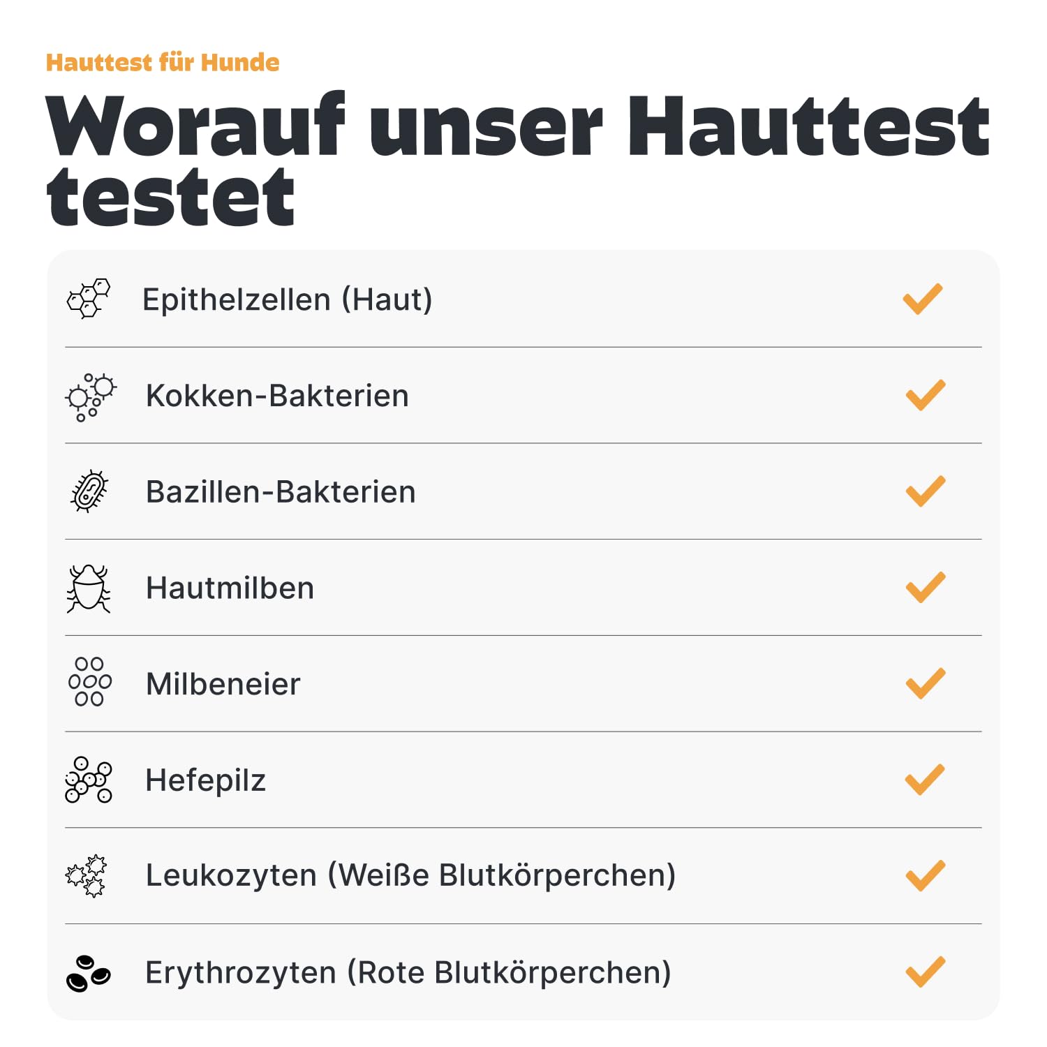 Pezz Haut- und Juckreiz Test für Hunde zum Einsenden von zwei Abstrich-Proben | Teste stressfrei zuhause auf Milben, Bakterien und Hefepilz | Ergebnis als Labor-Befund | gratis Labor-Versand