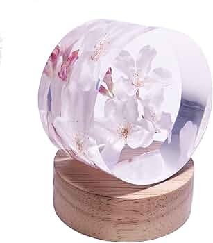 61zGrJ1eSCL._AC_UF350,