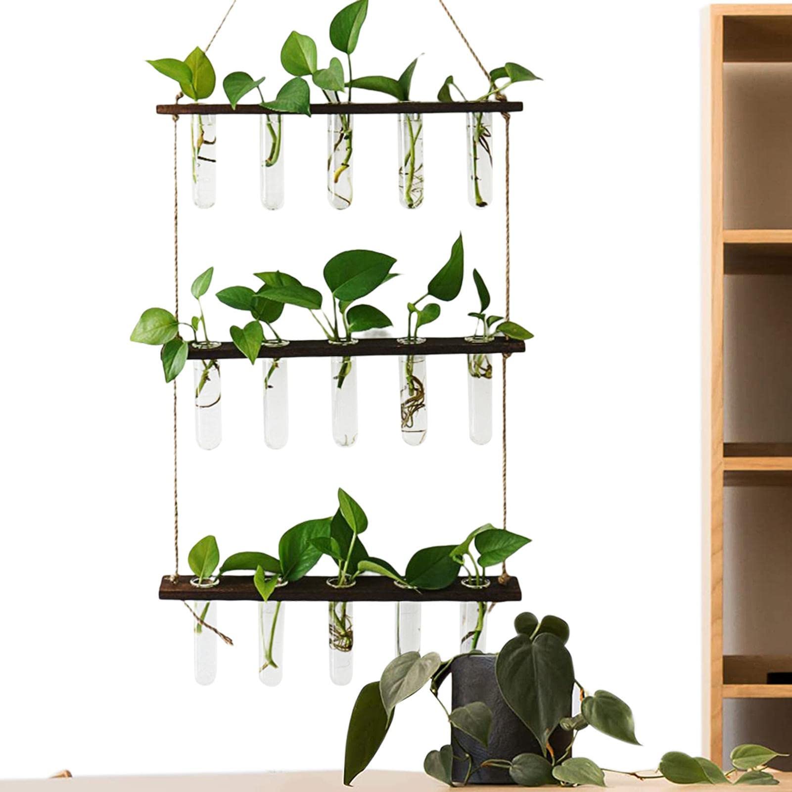 Hängevase aus Glas, Ausbreitungsstation für Pflanzen Pflanzkübel Pflanzkübel Hängende Pflanzkübel aus Glas, moderne Glasröhrchen für Innen für Blumen mit Holzständer für