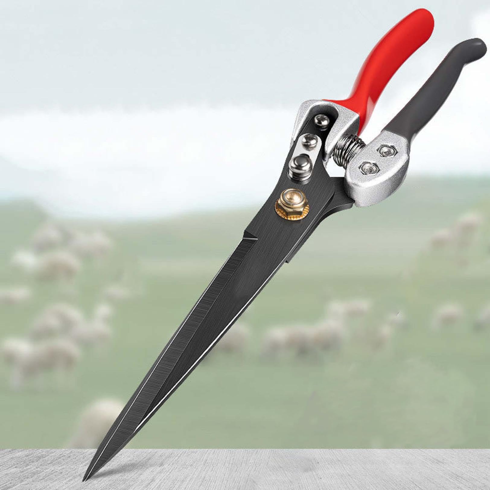 WILD SWANS FULL GRAIN BRIDLE / CLIPPER Ⅲ FULL GRAIN BRIDLE LEATHER | WILDSWANS(ワイルドスワンズ