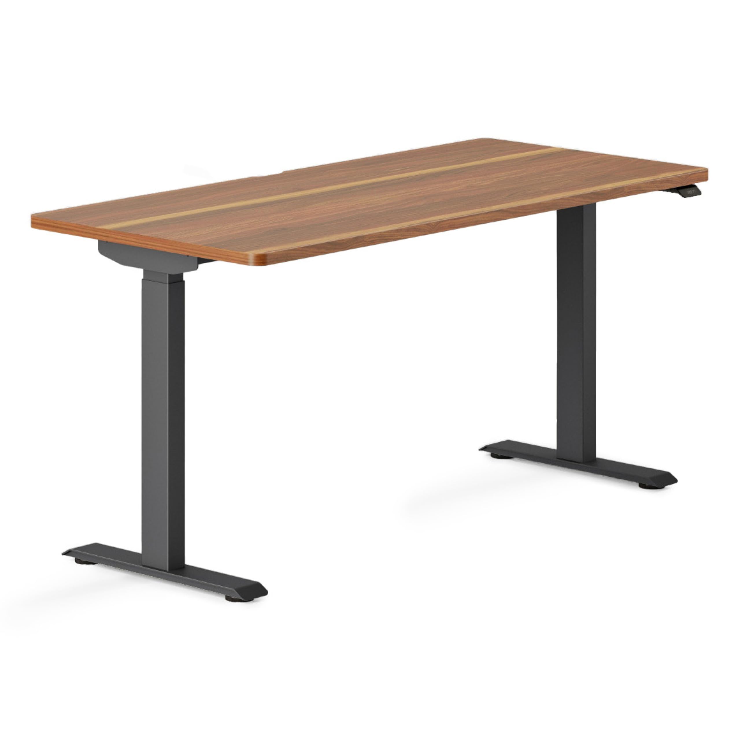 Branch Duo Standing Desk 58 Inches - Adjustable Standing Desk with 20 Range - OLED Control Panel -