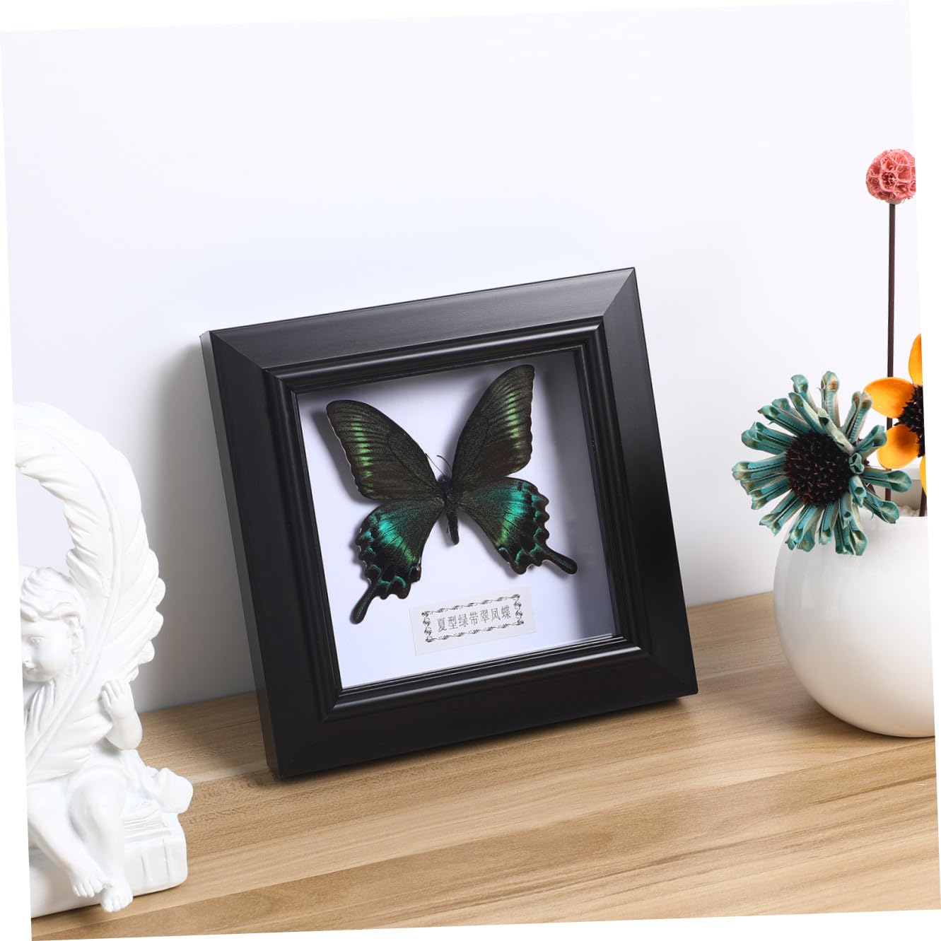 STOBAZA Marco de Exhibición DIY de Mariposa Simulada, Negro, Acrílico