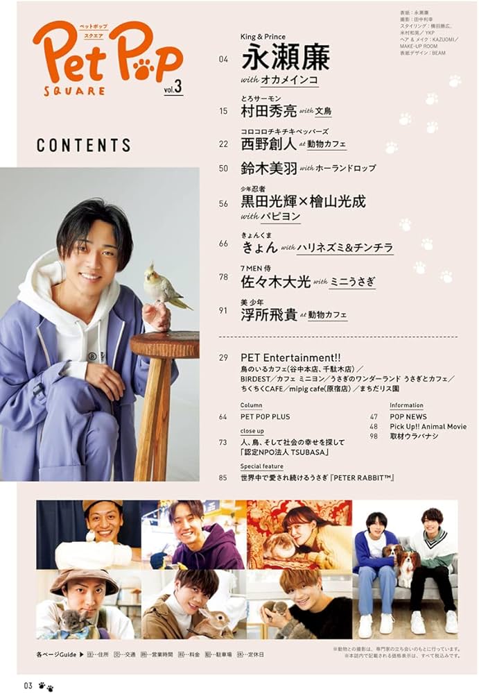 ペットポップスクエア vol.3 [COVER:永瀬廉] (HINODE MOOK 642