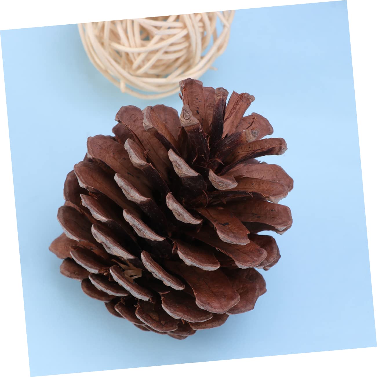 50stücke Natürliche Für Weihnachtsbaum-Dekoration -Dekoration Winterdeko Tischdeko Bastelmaterial Haus Und