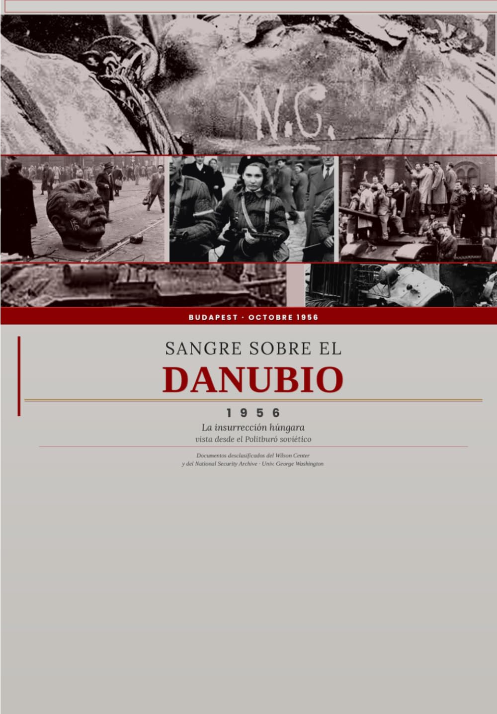 Sangre sobre el Danubio: El Otoño que Desgarró el Hierro Análisis Histórico-Documental.
