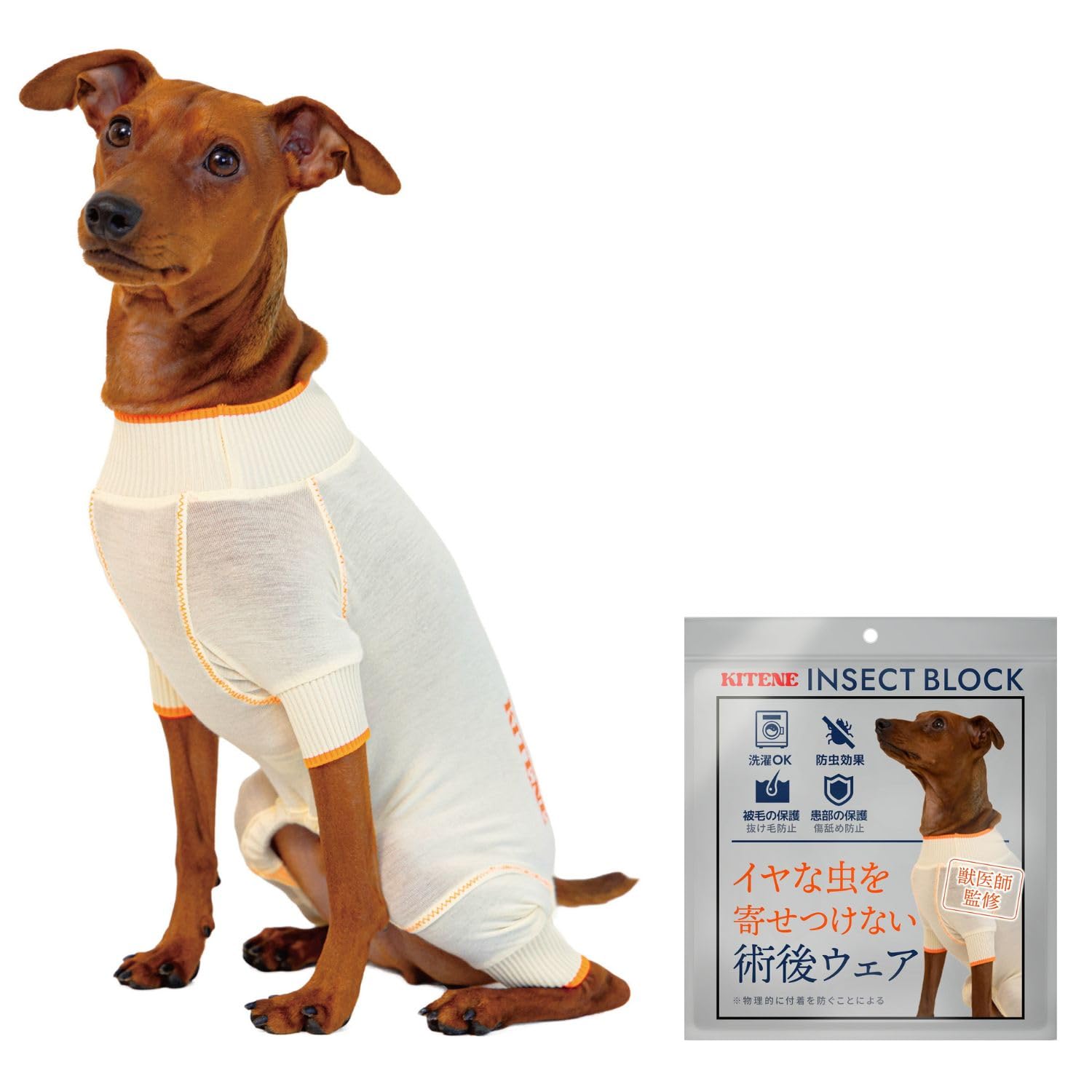 Amazon | 【獣医師監修】 KITENE キテネ 術後 防虫 保護 服 犬 うち