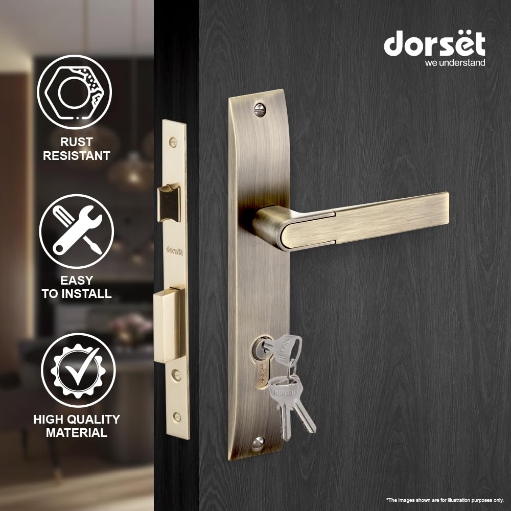 Dorset Zovi Handle On Plate 10 inch -Mortise Lock with 60 mm Both
