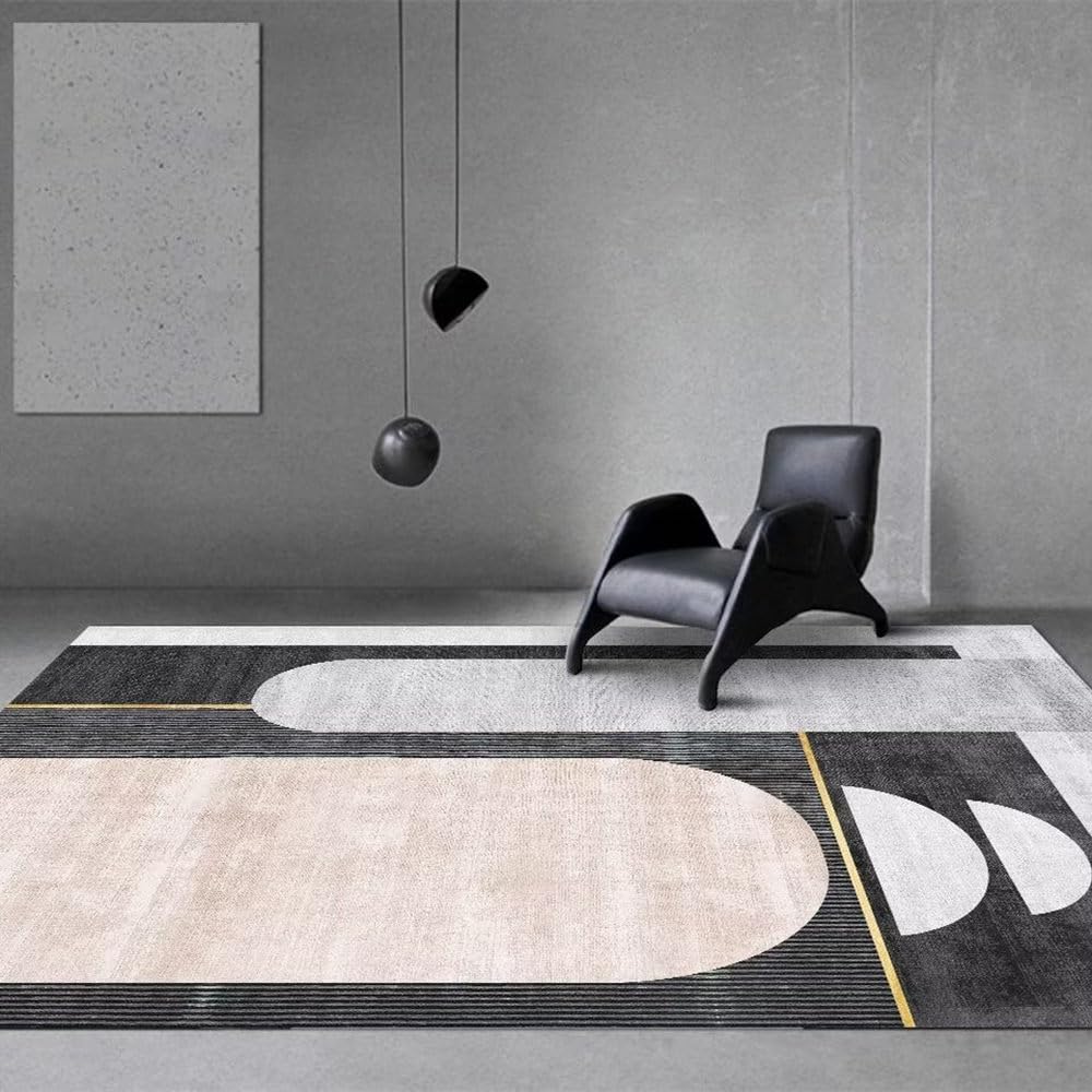 Tapis pour Salon Moderne Coloré et Grand Tapis Chambre Flanelle
