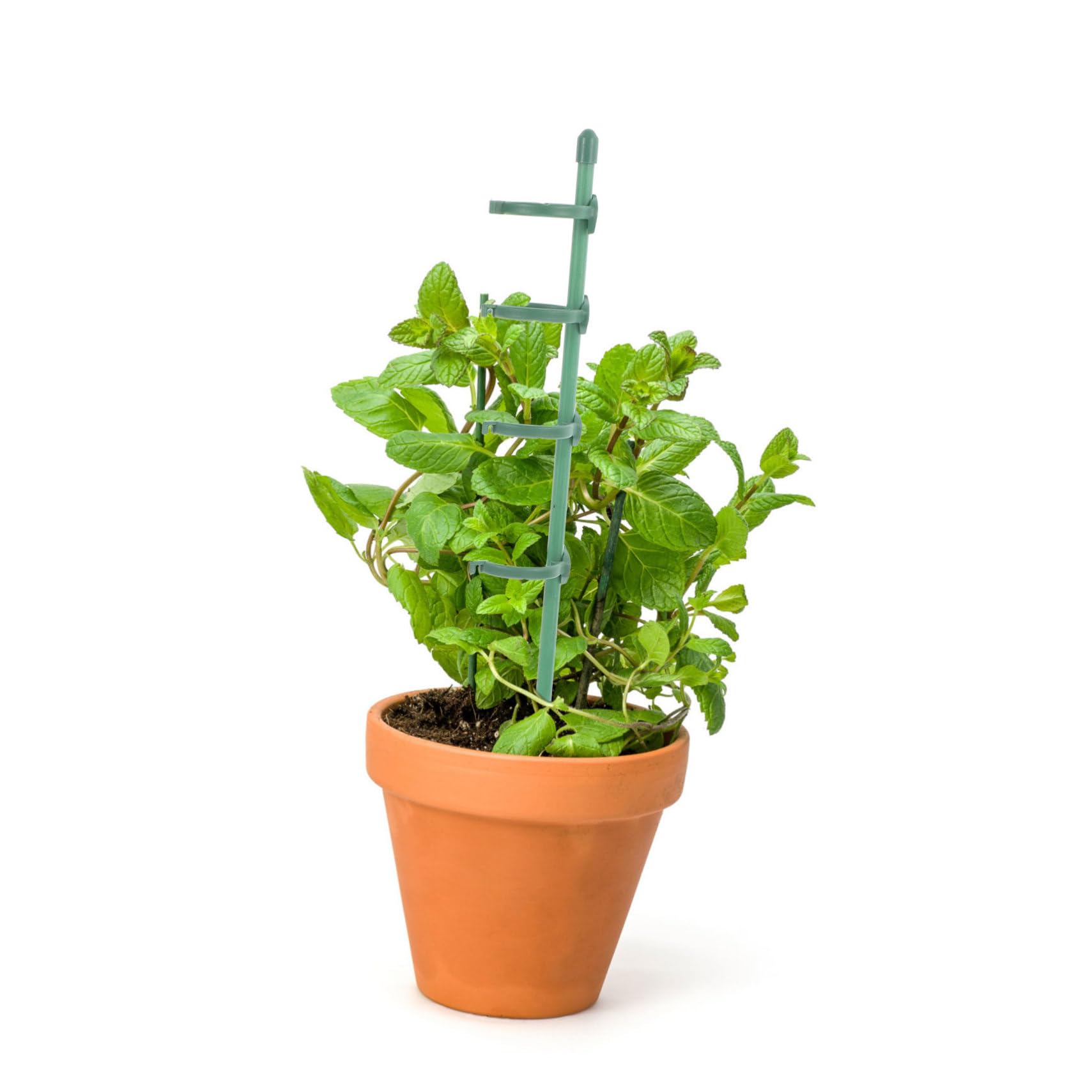 2 Ensembles Tige de Soutien pour Plantes de Jardin de Piquets de Soutien Floraux Boucles Ajustables pour Roses Plantes Grimpantes Outils Pratiques pour Jardinage Extérieur