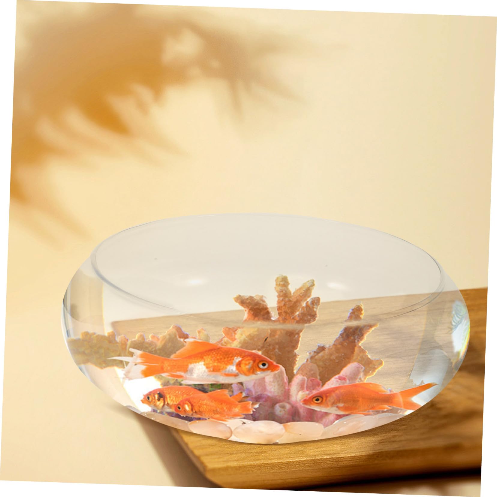 Pecera de Vidrio para Escritorio Pecera Pequeña Maceta Hidropónica para Plantas Pecera Decorativa para El Hogar