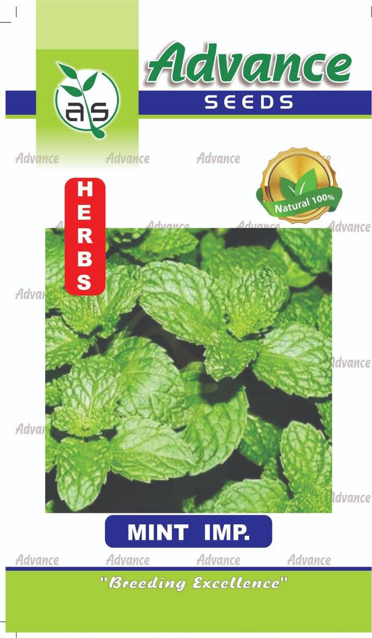 Ugrow Green Fresh Mint (Pudina) Herb Seeds (25 Seeds, Pack of 1) (B09S62PDQY) Amazon Price History, Amazon Price Tracker