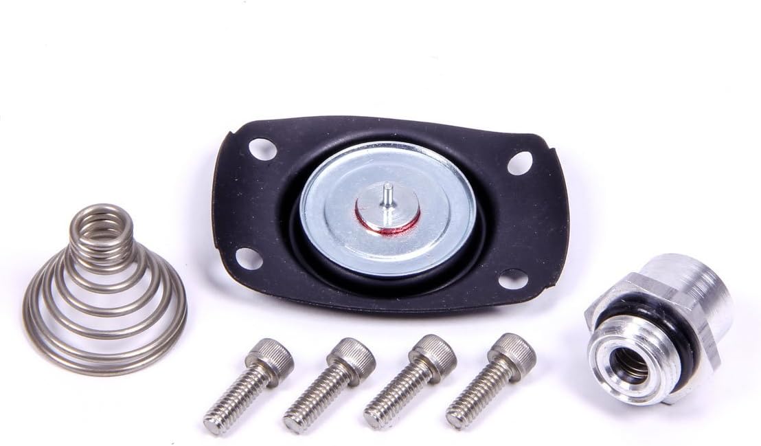Aeromotive 13005 Carb Regulator Repair Kit (1.32011320513211E+34)