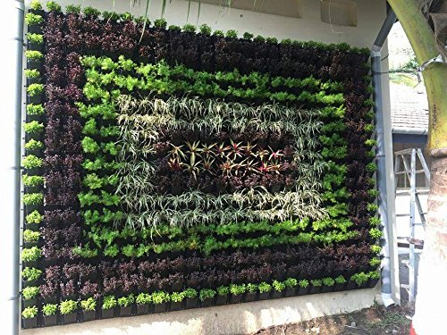 Image of Garden Vertical Hook Pot, 10 Pcs, Black Colour