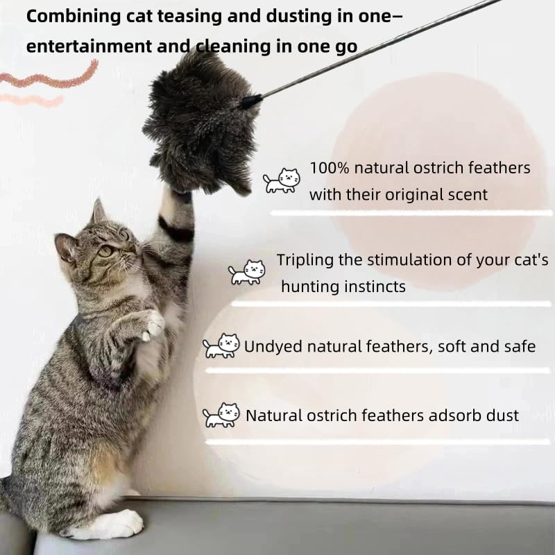 hongwei1952 Natural Ostrich Feather Cat Teaser, 30in Total Length, Stainless Steel Telescopic Rod - Image 3