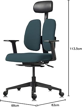 デスクチェア duorest 61zHaYPOUUL._AC_UF350,