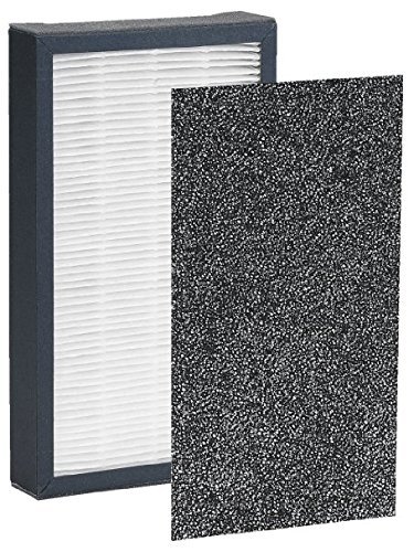 Nispira True HEPA Filter Replacement Compatible with GermGuardian FLT4100 Filter E Fits AC4100 Air Purifier 1 Pack
