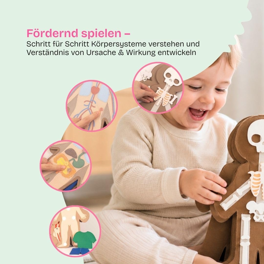 Jolly Designs Travel Buddy „Mein Körper – Junge“ – Interaktives Lernspielzeug zum menschlichen Körper – Montessori Spielzeug aus Filz – Fördert Feinmotorik & Körperwissen – Ideal für unterwegs