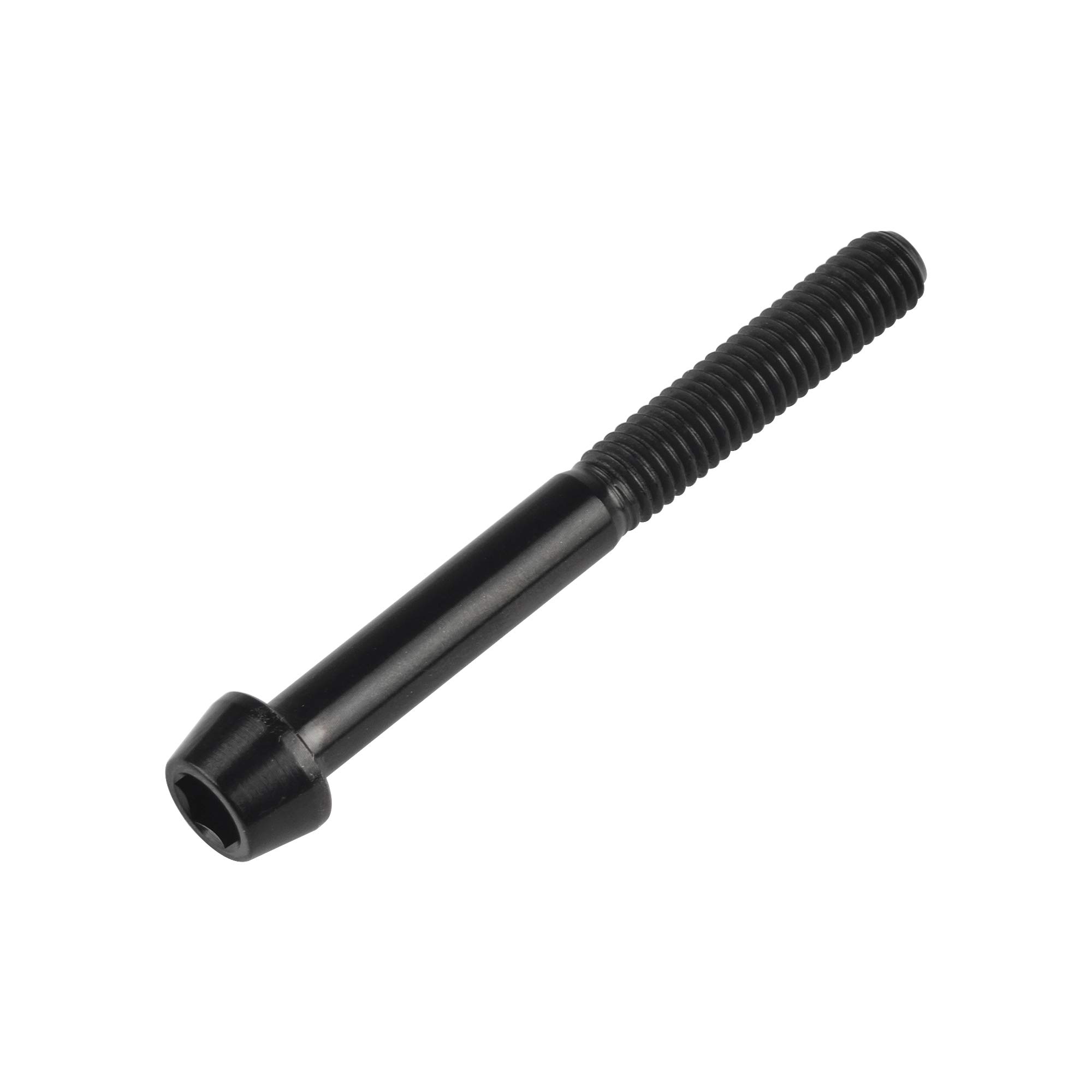 タエニア　TAENIA 81j-LQph6zL._UF350,350_QL50_.jpg