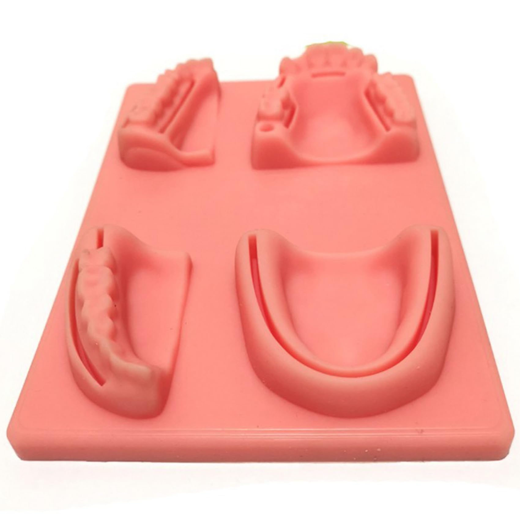 Kit per esercizi di cucitura dentale, 5 pezzi, per studenti e studenti veterinari
