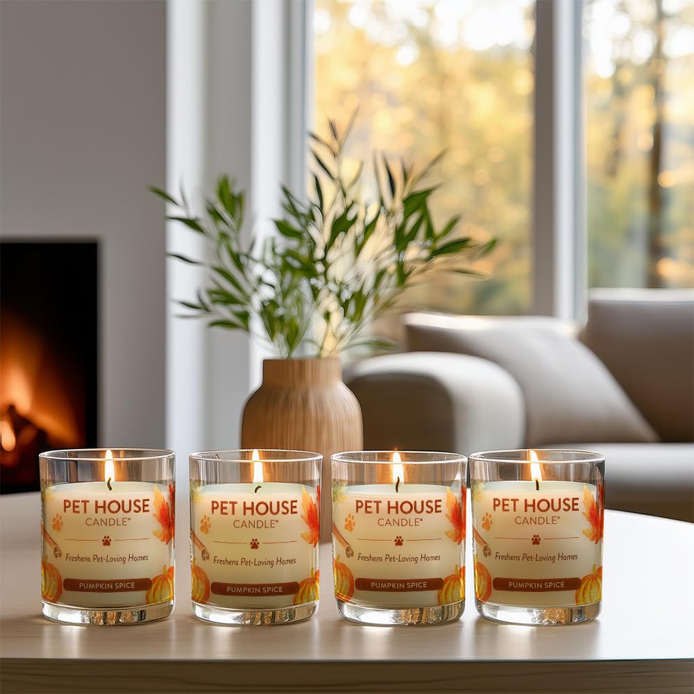One Fur All Pet House - Velas de especias de calabaza a base de plantas/velas de soja, velas perfumadas de combustión limpia, vela de olor de mascotas de larga duración para el hogar, paquete de 4
