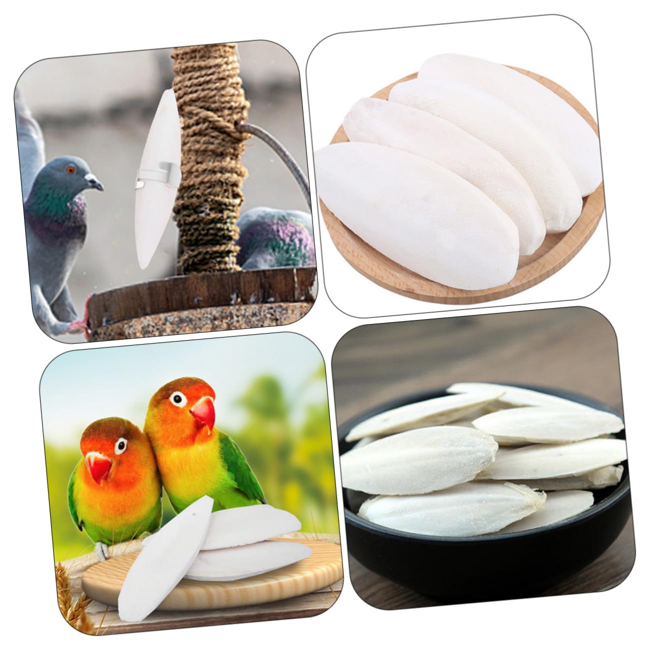 Kisangel 36 Ensembles De Rongement D'os De Seiche Os De Seiche pour Perruche Marteaux Jouet à Mâcher Chinchilla Os Câlins pour Oiseaux Jouets à Mâcher pour Chinchilla Jouet De Dentition