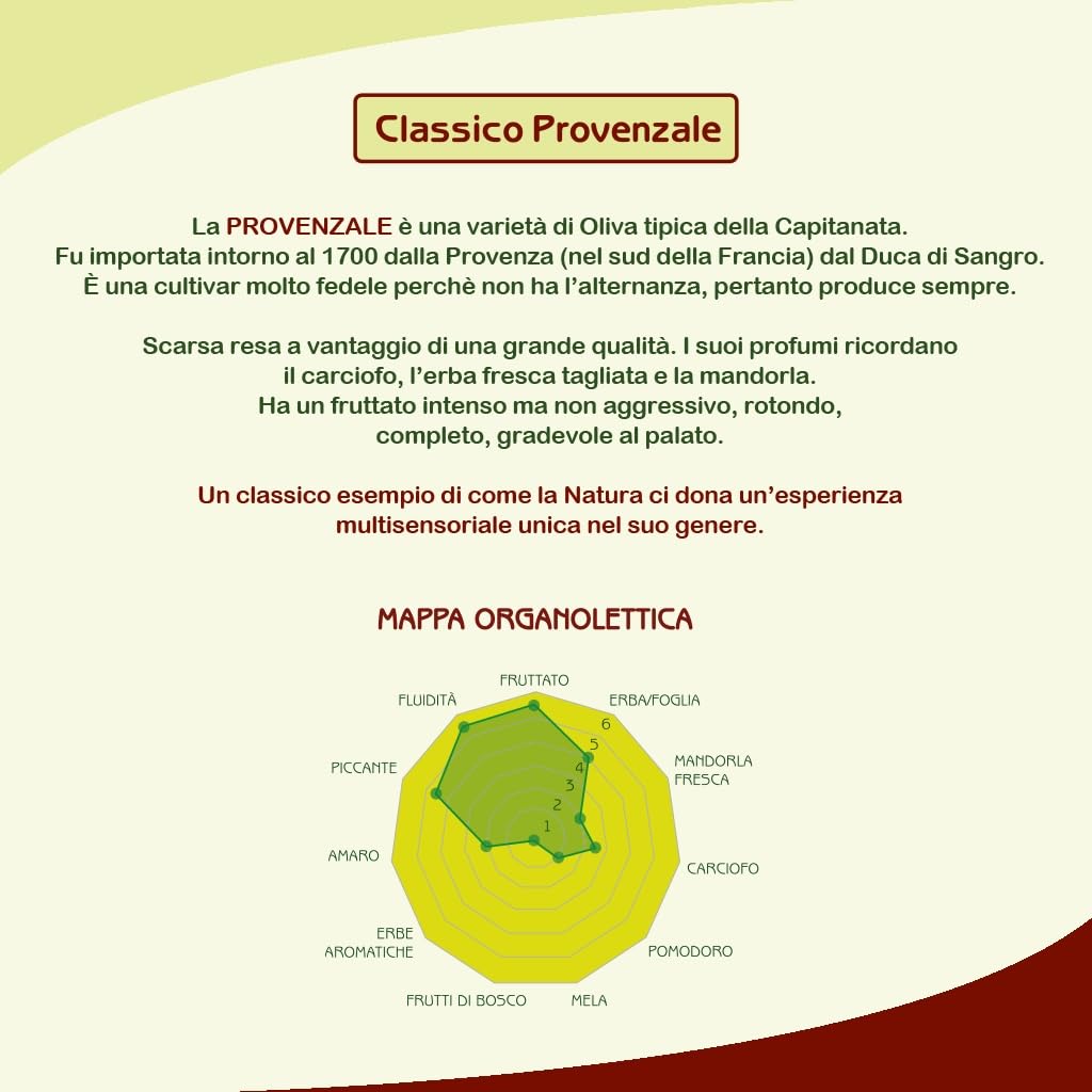 Le Fascine "Classico" - 100% italienisches Olivenöl, extra natives Olivenöl, kaltgewonnen, ungefiltert, 100% hergestellt von Monocultivar Provençal (2 x 3 Liter)