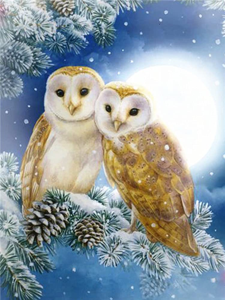 Diamond Painting Oiseau de Lune xxl pour décoration murale grand salon 80x180cm