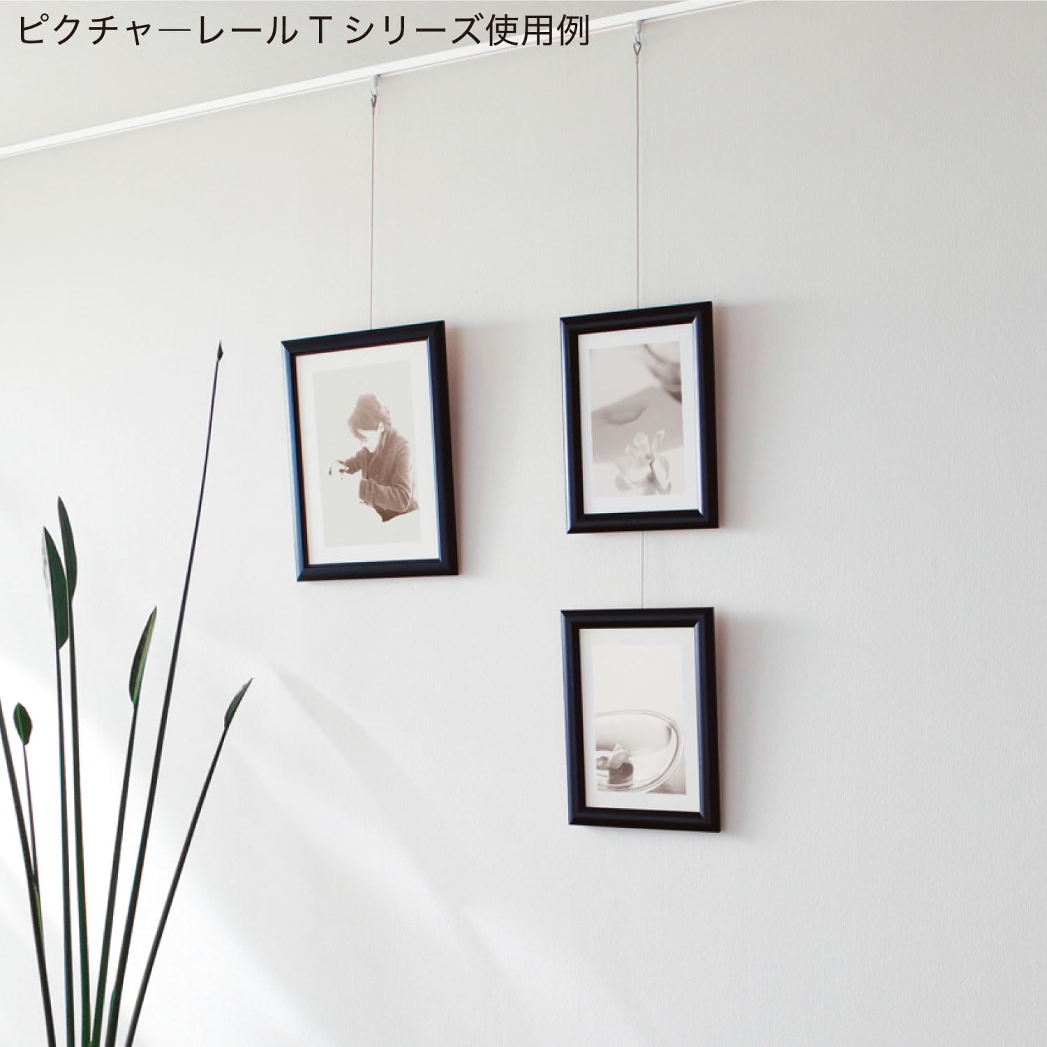 Amazon | ピクチャーレール フックA ホワイト 615745 | 額受