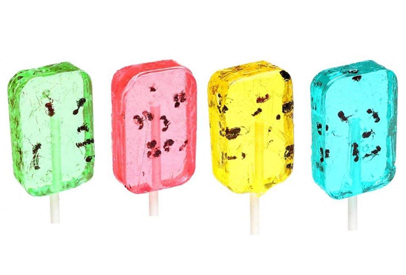 Hotlix Ant Insect Hard Candy Sucker Box of 36, Real Edible Bugs, Halloween Party Favor, White Elephant Gift, Gag Joke Gift, Funny Gift For Him