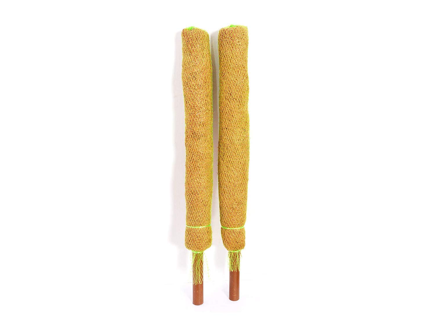 Bio Blooms Agro India Pvt. Ltd. Coco Pole - Coir Moss Stick | Plant Creepers Support | Brown | 3 feet | 2 Pieces | Indoor and Outdoor Uses | (B07NQCZ2GH) Amazon Price History, Amazon Price Tracker