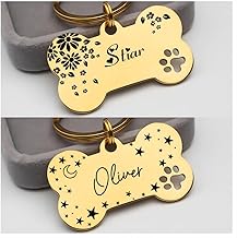 Luigi Customized Name and Address tag for Pet,Engraved Name ID Tag for Dogs,Stainless Steel Bone Dog Tag,Personalised Puppy Dog Tag,Dog ID Tag