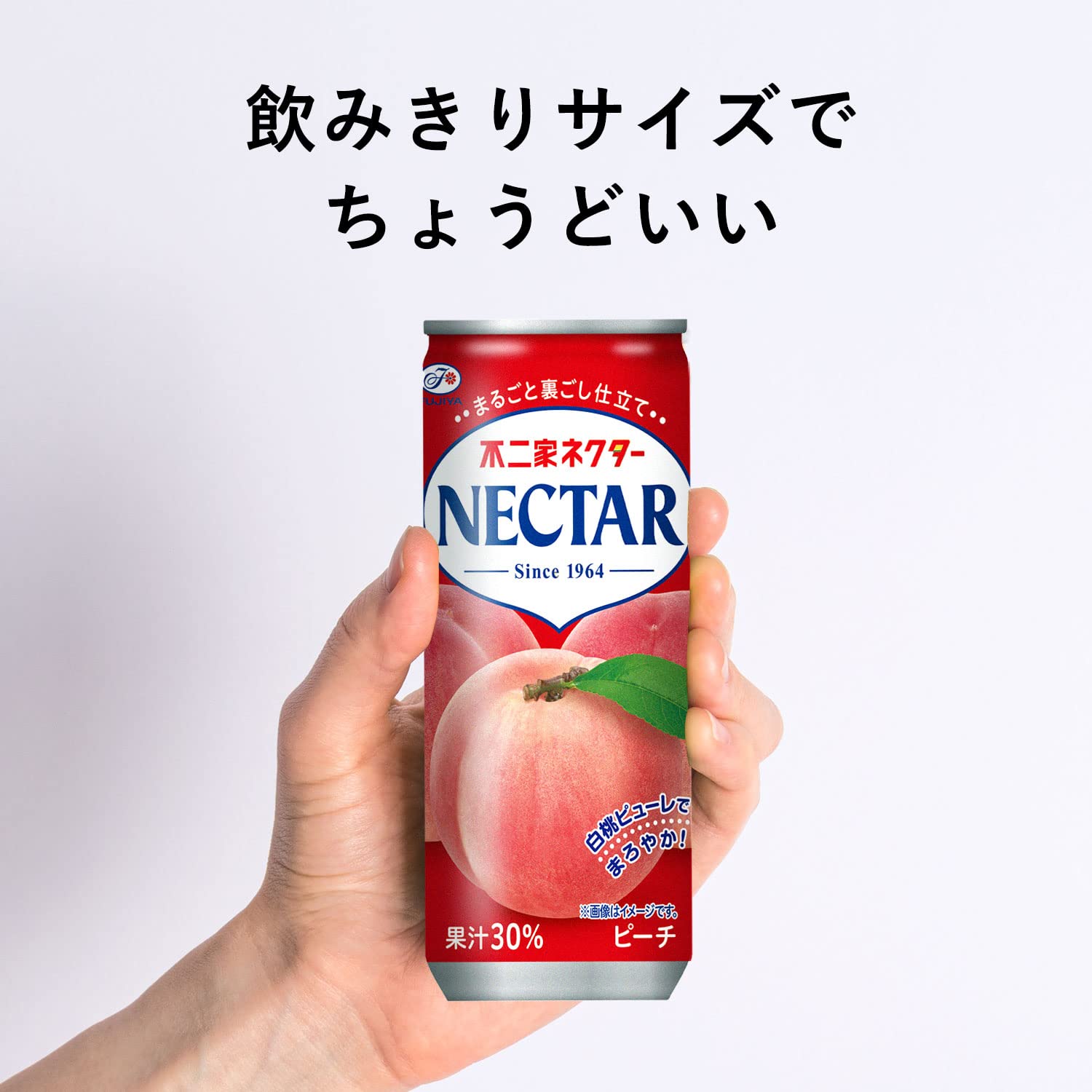 Amazon.co.jp: Fujiya Nectar Peach Cans, 8.8 oz (250 g) x 30 Cans