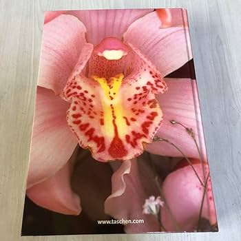 ARAKI MYTHOLOGY 荒木経惟 アートフォト集 荒木経惟写真集『月光写真』特設サイト