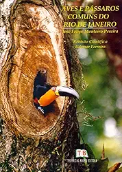 Aves E Pássaros Comuns Do Rio De Janeiro
