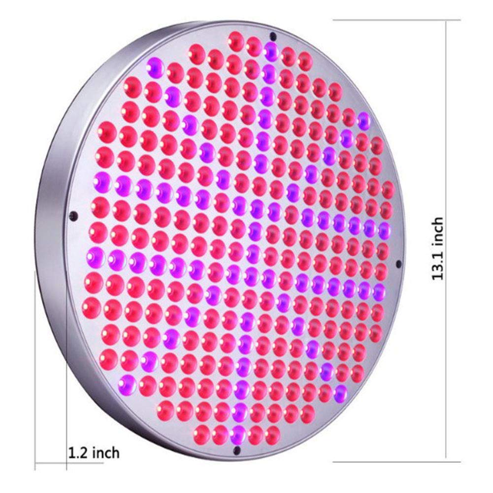 Luces de Cultivo de Plantas LED, 50W 250 LED Plantas de Interior Bombillas de lámpara de Cultivo con Planta de hidroponía de Espectro Azul Rojo, Redonda