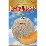 神田育種農場 メロン �