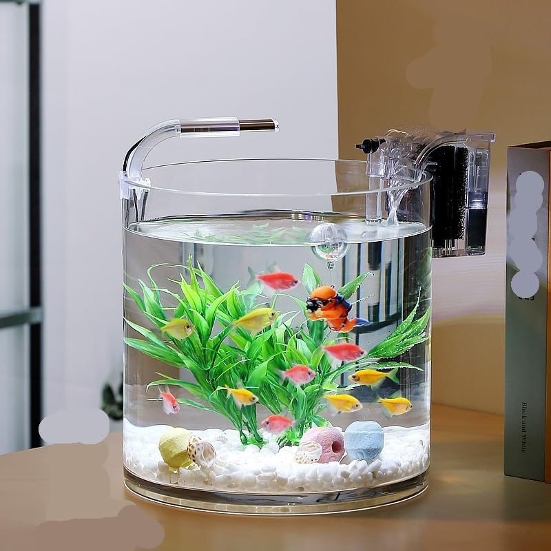 特大ガラス瓶、駄菓子瓶、金魚鉢、メダカ鉢、ドライフラワー、ガラス