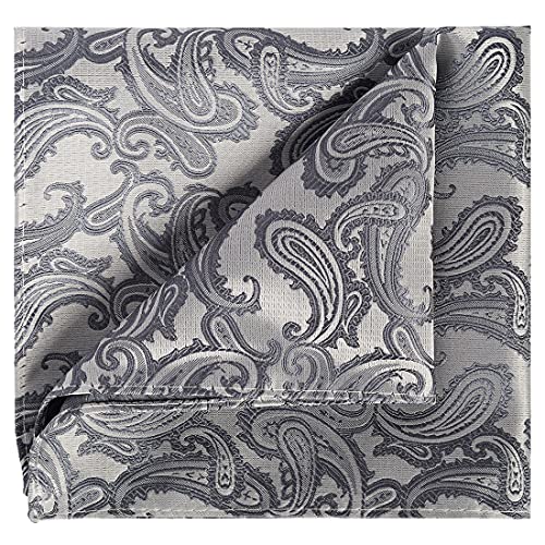Image of KissTies Mens Paisley Tie And Pocket Square Necktie Sets