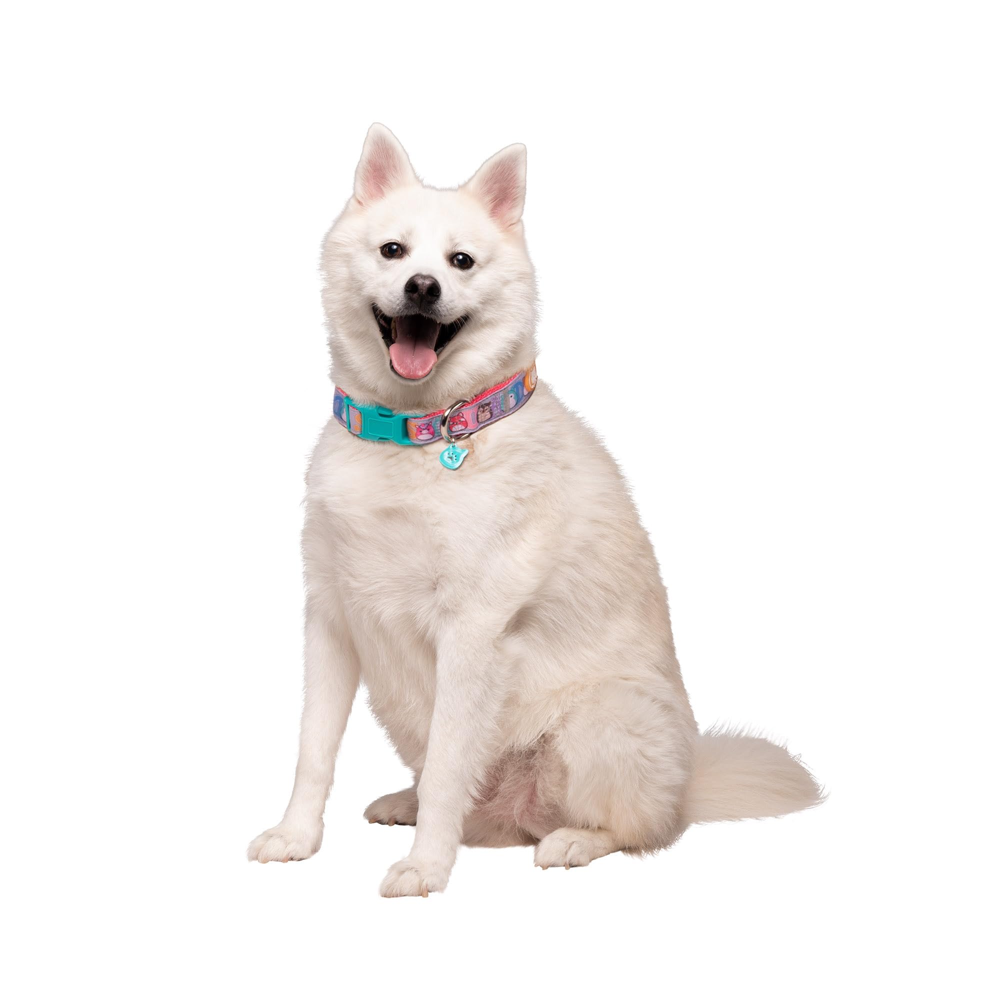 Squishmallows Original Squish Squad Pet Collar (Large) - Official Jazwares Pets Apparel, Multicolour - Image 2