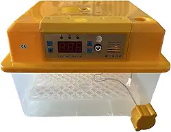 Generic Chocadeira digital para incubação de ovos, vários modos, multifuncional, virador de ovos, animais, pato, codorna, frango, ganso, 16
